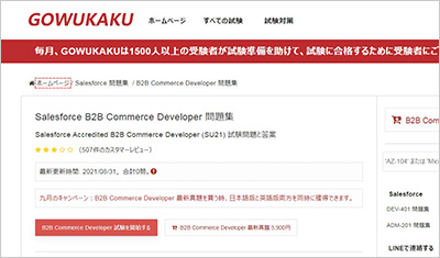 b2b-commerce-developer_shiken_1