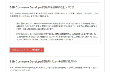 b2b-commerce-developer_shiken_2