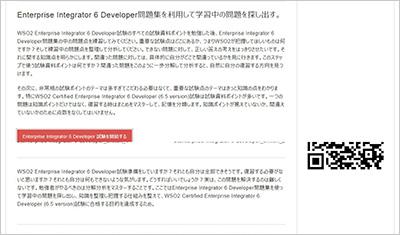enterprise-integrator-6-developer_shiken_2