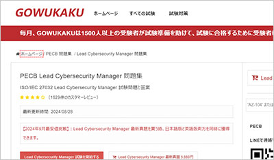lead-cybersecurity-manager_shiken_1