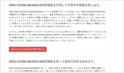 omg-oceb2-busadv300_shiken_2