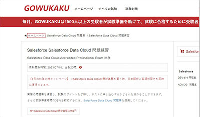 salesforce-data-cloud_shiken_1
